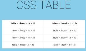 CSS Tables | Table Borders | CSS Table Size - FutureFundamentals